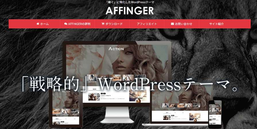 AFFINGER6